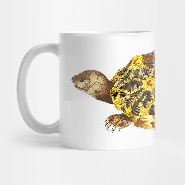 Yellow turtle in colorful vintage design by Marccelus